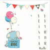 Baby Milestone Photo Mat | Photographic Calendar Blanket